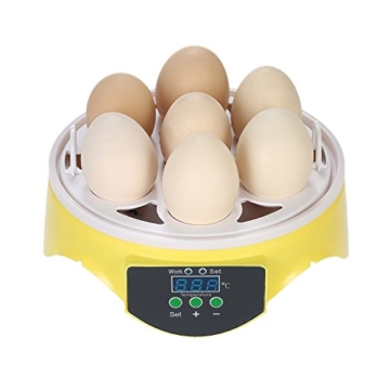 Anself Mini Inkubator Automatik Motorbrüter Brutgerät für 7 Eier - 5
