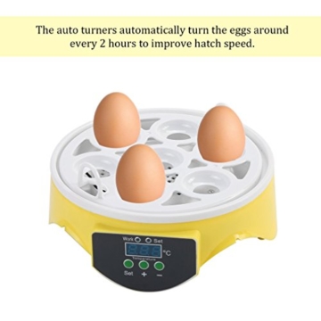 Blackpoolal Brutmaschine Vollautomatisch 7 Eier Motorbrüter Brutapparat mit LED Temperaturanzeige Flächenbrüter Brüter Inkubator für Enten, Hühner, Wachteln Etc. - 4