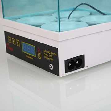 Bolange Kleiner Ei-Inkubator Kleiner automatischer Inkubator 4 Haushalte Inkubator der Brutmaschine - 4