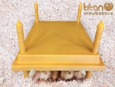 Brutgerät – 30x30cm - 1