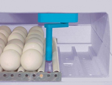 Brutmaschine Modell 3000 Digital mit vollautomatischer Wendung Eierart Hühner/Enten - 5