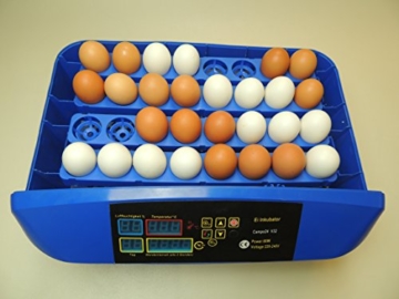 Campo24 V32 Motorbrüter für 32 Eier Inkubator Vollautomatischer Motorbrüter Incubator - 4