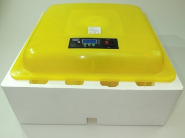 Campo24 V48AB Motorbrüter auto Wendung Brutapparat Inkubator Incubator - 3