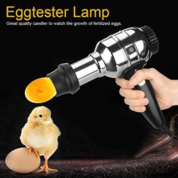 Dedicated Eggtester Schierlampe Ei Candler Tester Coole Licht Wiederaufladbare LED Inkubator Ausrüstung Lampe Check Schraffur Ausrüstung - 5