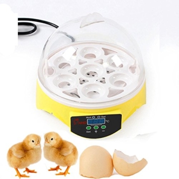 JUDIAO Mini Motorbrüter Inkubator, HimanJie Vollautomatische Brutmaschine, Motorbrüter Hühner, Brutapparat mit LED Temperaturanzeige und Temperaturfühler, für 7 Hühnereier - 1