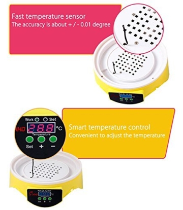 JUDIAO Mini Motorbrüter Inkubator, HimanJie Vollautomatische Brutmaschine, Motorbrüter Hühner, Brutapparat mit LED Temperaturanzeige und Temperaturfühler, für 7 Hühnereier - 5