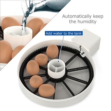 LifeBasis Brutmaschine Vollautomatisch Hühner Eier Brutgerät Brutapparat Brutkasten Brüter Flächenbrüter Eier Inkubator für 10 Eier mit Transparenter Deckel Automatische Temperatur und Luftfeuchtigkeits Kontrolle - 4