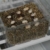 Lucky Reptile EOB-1 Egg-O-Bator, Inkubator, Reptilien Brutapparat - 6