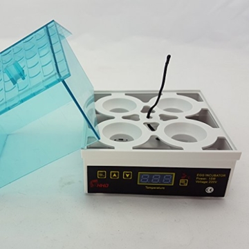 MagiDeal Mini Inkubator Digitale Vollautomatischer Brutkasten Brutmaschine für 4 Eier - 5