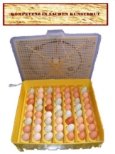 Motorbrüter direkt vom Hersteller Campo24 G ® Incubator/Inkubator/Brüter/Brutmaschine/Brutgerät/Flächenbrüter mit Umluftmotor - 1