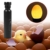 Portable Schwarz Cool Light LED Kerzenlampe Inkubator Super Helle Egg Candler Tester Neu für Überwachung Ei Inkubator - 1