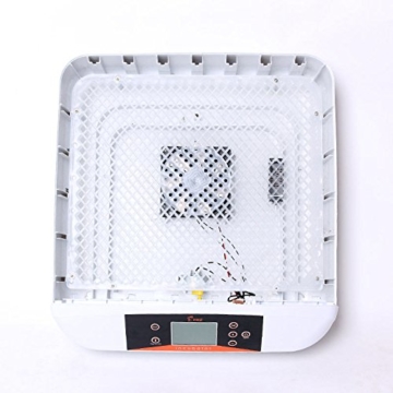Vollautomatischer 56 EIER Flächenbrüter Brutkasten Brüter Inkubator Brutmaschine(Ohne Licht) - 6