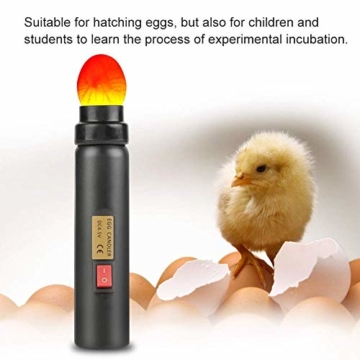 ZJchao Schierlampe Ei Candler Zucht Ei Fruchtbarkeitsprüfer, EU-Stecker - 6